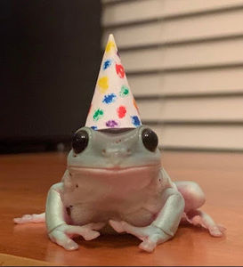 Meet your Posher, Ray